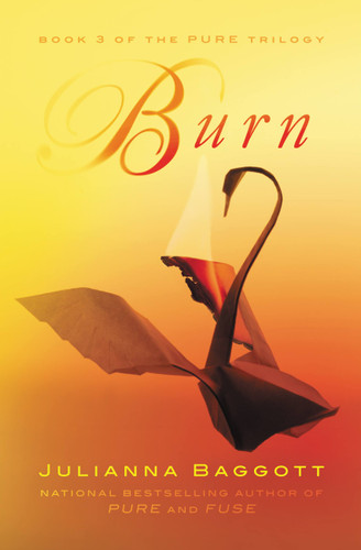Burn (The Pure Trilogy #3) book cover by Julianna Baggott