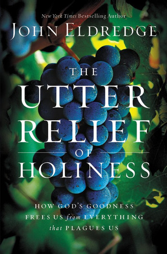 The Utter Relief of Holiness: How God's Goodness Frees Us from Everything that Plagues Us book cover by John Eldredge