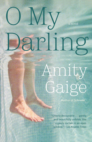 O My Darling: A Novel book cover by Amity Gaige