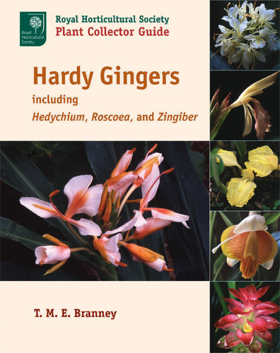 Hardy Gingers: including Hedychium, Roscoea, and Zingiber book cover by T. M. E. Branney