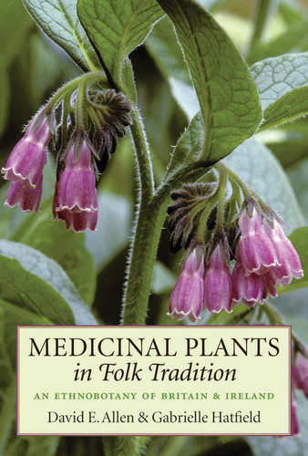 Medicinal Plants in Folk Tradition: An Ethnobotany of Britain & Ireland book cover by Gabrielle Hatfield, David Allen