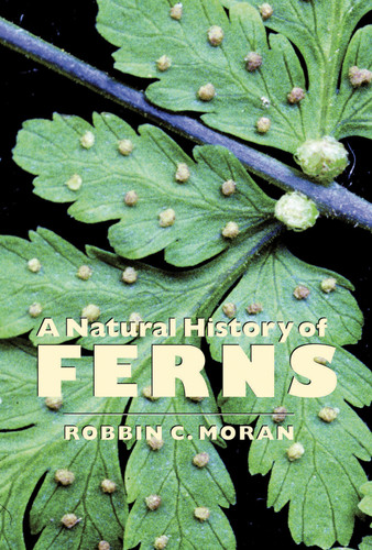 A Natural History of Ferns book cover by Robbin C. Moran