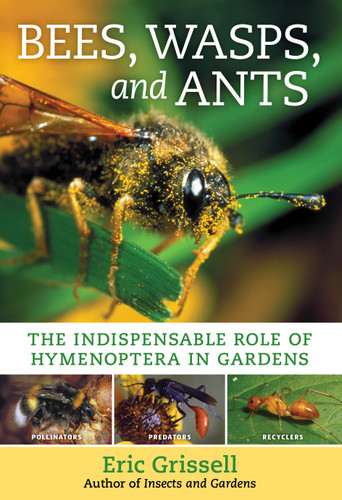 Bees, Wasps, and Ants: The Indispensable Role of Hymenoptera in Gardens book cover by Eric Grissell