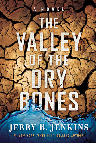 The Valley of Dry Bones: A Novel book cover by Jerry B. Jenkins