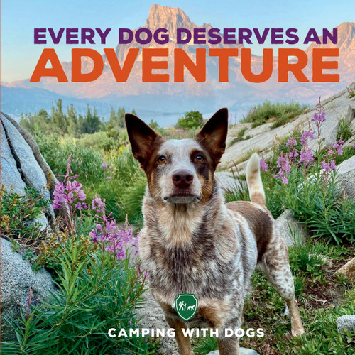 Every Dog Deserves an Adventure: Amazing Stories of Camping with Dogs book cover by L. J. Tracosas, Camping with Dogs
