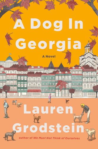 A Dog in Georgia: A Novel book cover by Lauren Grodstein