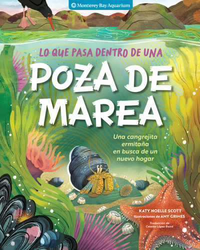 Lo que pasa dentro de una poza de marea: Una cangrejita ermitaña en busca de un nuevo hogar book cover by Monterey Bay Aquarium, Katy Scott