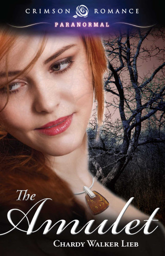 The AMULET book cover by Chardy Walker Lieb