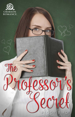 The Professor's Secret book cover by Peggy Bird