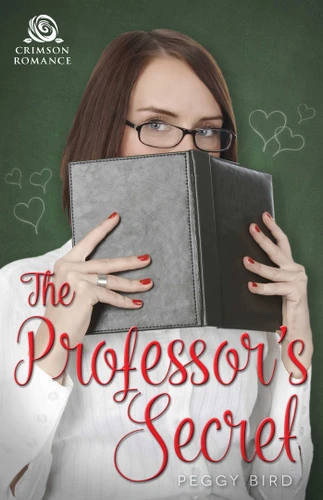 The Professor's Secret book cover by Peggy Bird
