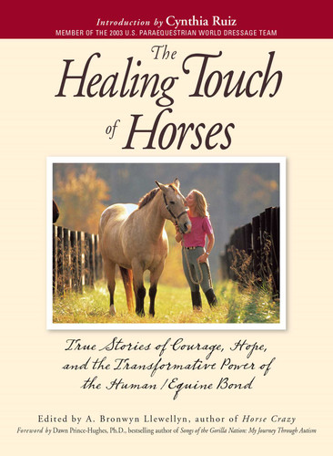 The Healing Touch For Horses: True Stories of Courage, Hope, and the Transformative Power of the Human/Equine Bond book cover by A. Bronwyn Llewellyn
