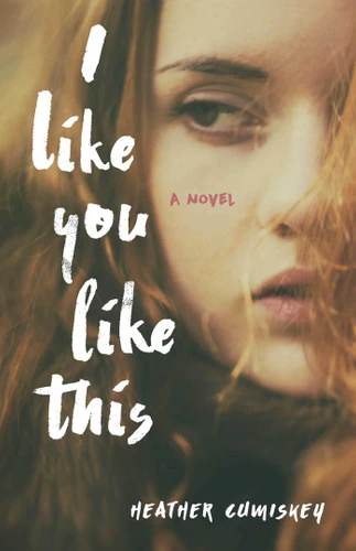 I Like You Like This: A Novel book cover by Heather Cumiskey