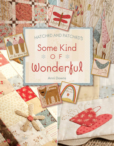 Hatched and Patched's Some Kind of Wonderful book cover by Annie Downs