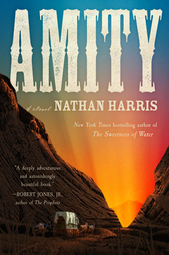 Amity: A Novel book cover by Nathan Harris