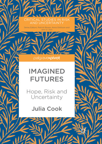 Imagined Futures: Hope, Risk and Uncertainty (Critical Studies in Risk and Uncertainty) book cover by Julia Cook