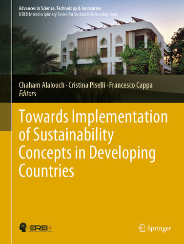 Towards Implementation of Sustainability Concepts in Developing Countries (Advances in Science, Technology & Innovation) book cover by 