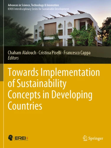 Towards Implementation of Sustainability Concepts in Developing Countries (Advances in Science, Technology & Innovation) book cover by 