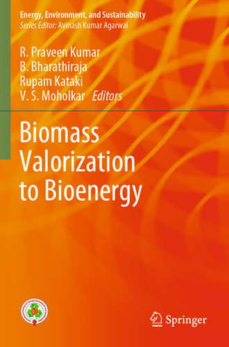 Biomass Valorization to Bioenergy (Energy, Environment, and Sustainability) book cover by 