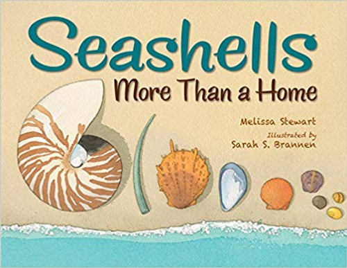 Seashells: More Than a Home Cover
