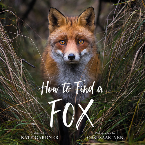 How to Find a Fox book cover by Kate Gardner