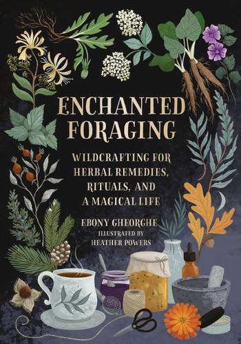 Enchanted Foraging: Wildcrafting for Herbal Remedies, Rituals, and a Magical Life book cover by Ebony Gheorghe