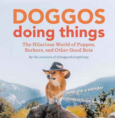 Doggos Doing Things: The Hilarious World of Puppos, Borkers, and Other Good Bois book cover by Creators of @doggosdoingthings