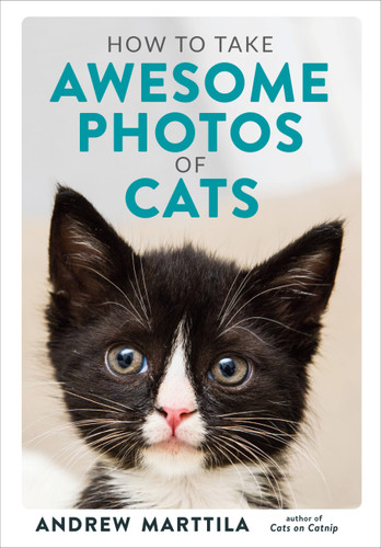 How to Take Awesome Photos of Cats book cover by Andrew Marttila