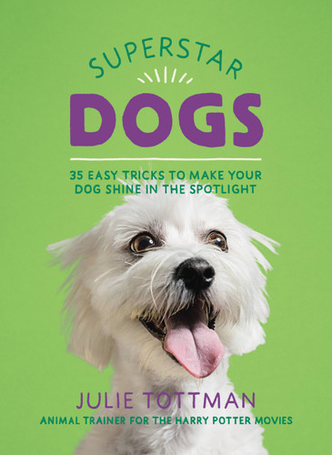 Superstar Dogs: 35 Easy Tricks to Make Your Dog Shine in the Spotlight book cover by Julie Tottman