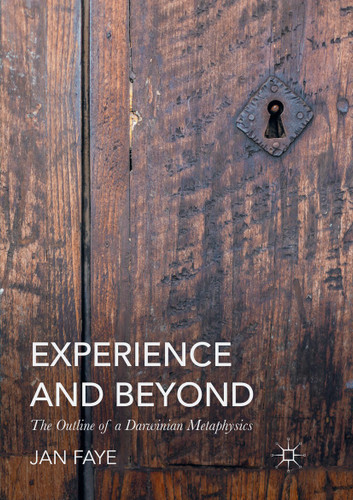 Experience and Beyond: The Outline of A Darwinian Metaphysics book cover by Jan Faye
