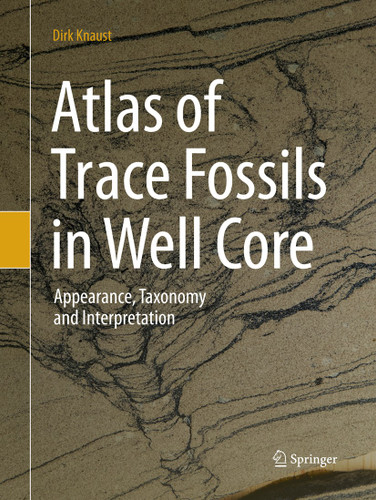 Atlas of Trace Fossils in Well Core: Appearance, Taxonomy and Interpretation book cover by Dirk Knaust