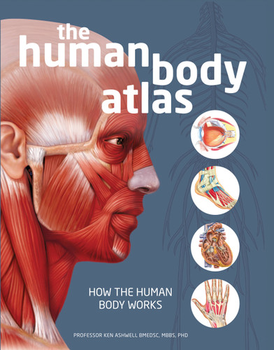 The Human Body Atlas: How the human body works book cover by National Geographic