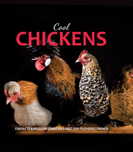 Cool Chickens book cover by 