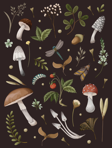 Mushroom Lined Journal book cover by Editors of Chartwell Books
