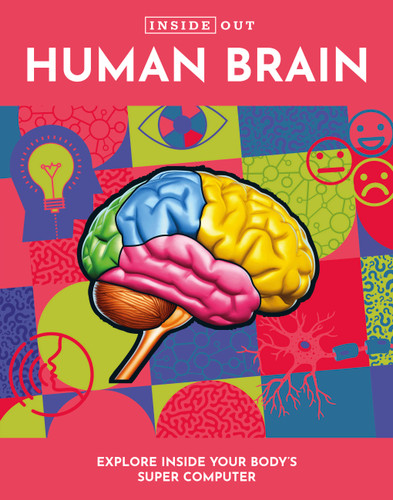 Inside Out Human Brain: Explore Inside Your Body's Super Computer (Inside Out, Chartwell) book cover by Editors of Chartwell Books