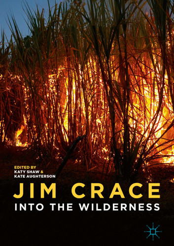 Jim Crace: Into the Wilderness book cover by 