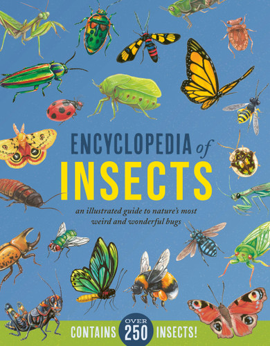 Encyclopedia of Insects: An Illustrated Guide to Nature’s Most Weird and Wonderful Bugs - Contains over 250 Insects! book cover by Jules Howard