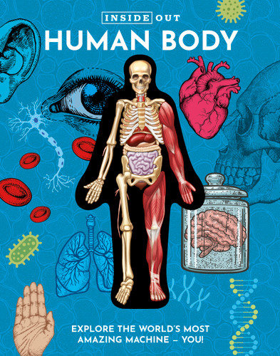 Inside Out Human Body: Explore the World's Most Amazing Machine - You! (Inside Out, Chartwell) book cover by Luann Columbo
