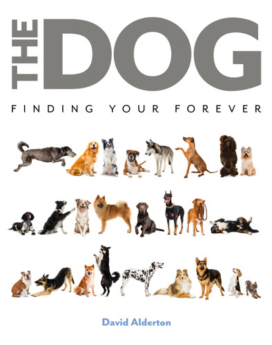 The Dog: Finding Your Forever book cover by David Alderton