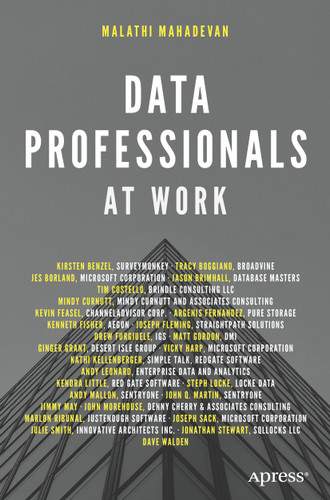 Data Professionals at Work book cover by Malathi Mahadevan