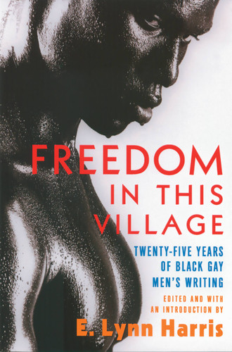 Freedom in This Village: Twenty-Five Years of Black Gay Men's Writing book cover by 
