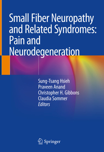 Small Fiber Neuropathy and Related Syndromes: Pain and Neurodegeneration book cover by 
