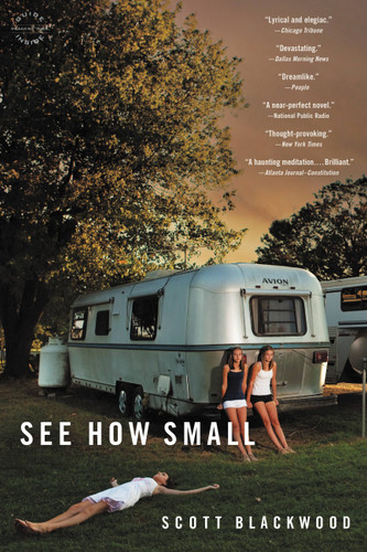 See How Small: A Novel book cover by Scott Blackwood