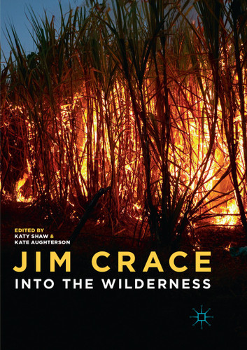 Jim Crace: Into the Wilderness book cover by 