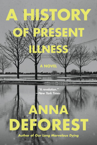 A History of Present Illness: A Novel book cover by Anna DeForest