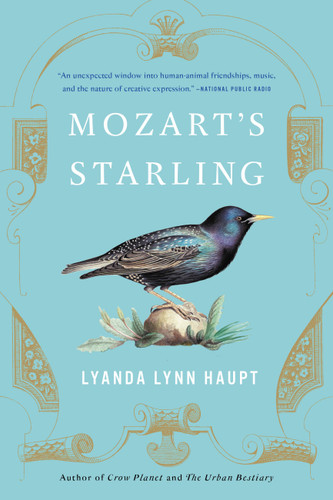 Mozart's Starling book cover by Lyanda Lynn Haupt