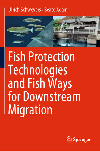 Fish Protection Technologies and Fish Ways for Downstream Migration book cover by Ulrich Schwevers, Beate Adam