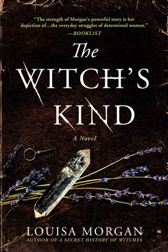The Witch's Kind: A Novel book cover by Louisa Morgan