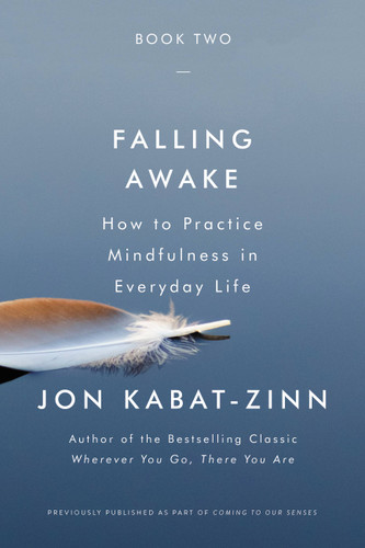 Falling Awake: How to Practice Mindfulness in Everyday Life book cover by Jon Kabat-Zinn