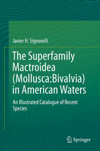 The Superfamily Mactroidea (Mollusca:Bivalvia) in American Waters: An Illustrated Catalogue of Recent Species book cover by Javier H. Signorelli