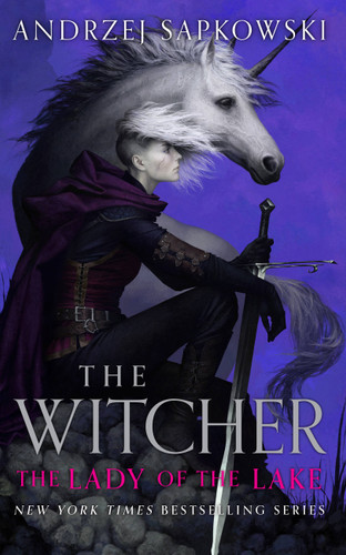 The Lady of the Lake (The Witcher #7) book cover by Andrzej Sapkowski